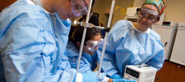 Photo of students at lab bench