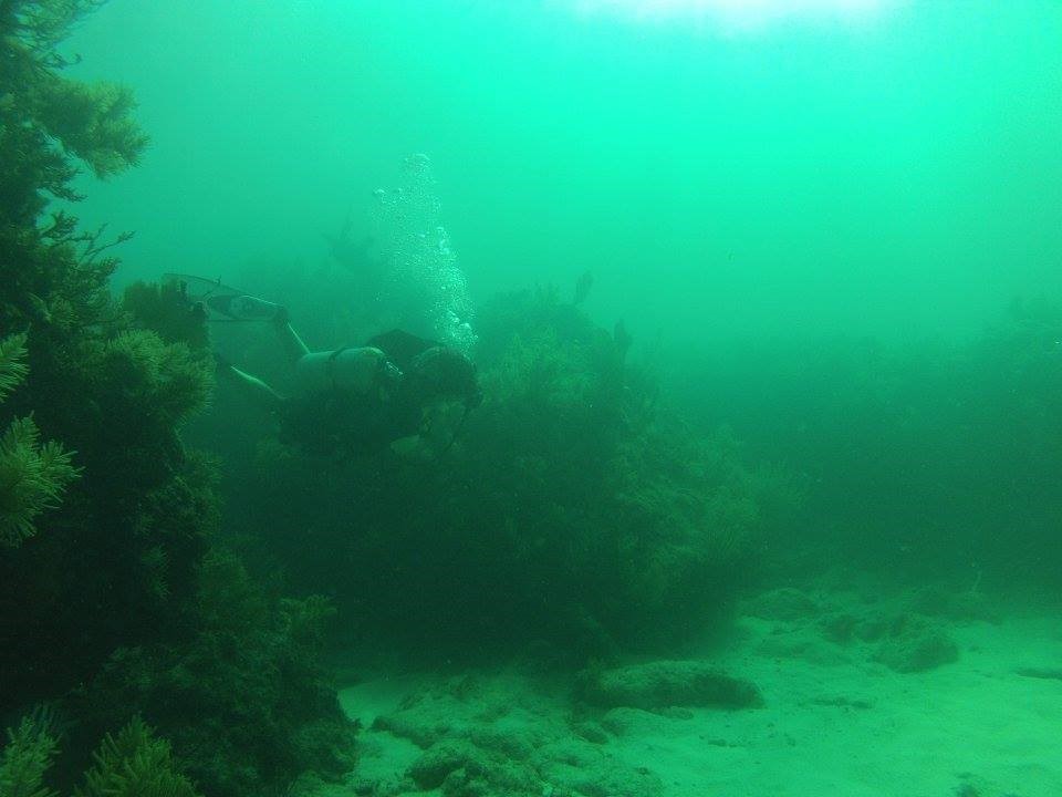 Scuba Club learns about reef restoration spcinspires Science and