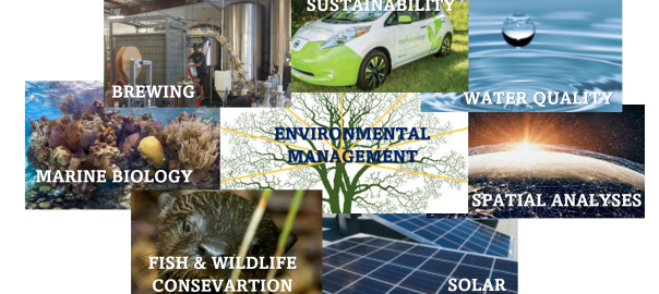 Collage of different science careers