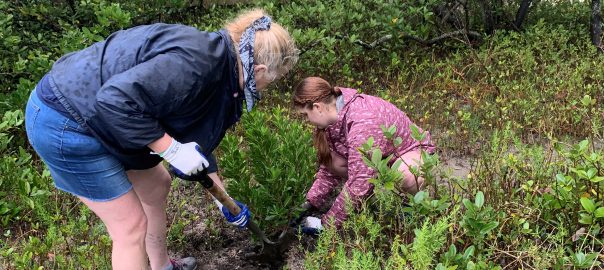 two women dig in soil to put new plants in.