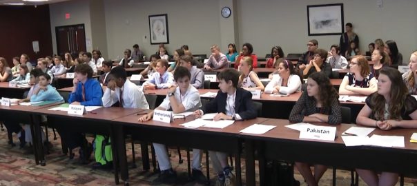 model united nations