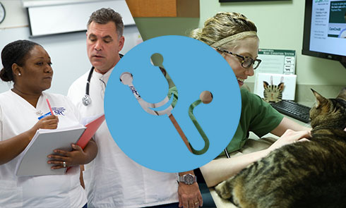 Health Sciences and Veterinary Technology